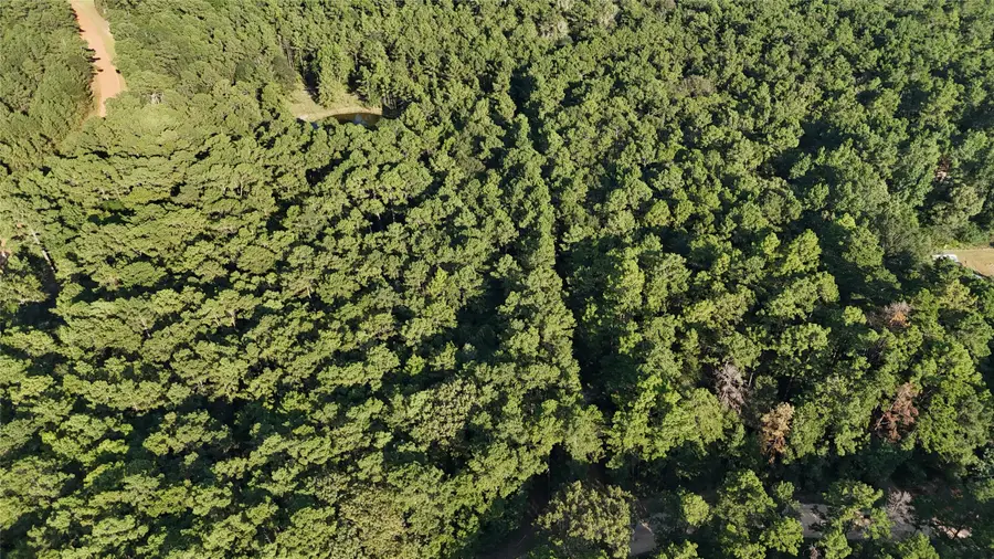 Lot 26 Deer Run Road, Chester, TX 75936 - #3
