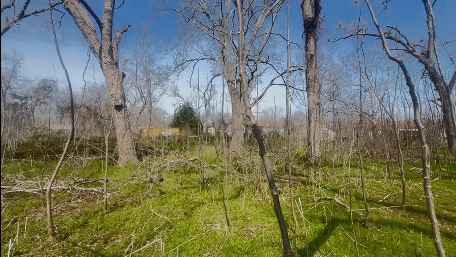 5760-1630-000 Igloo Lane, Angleton, TX 77515 - #2