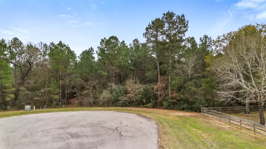 4504 Mistywood Court, Montgomery, TX 77316 - Image #3