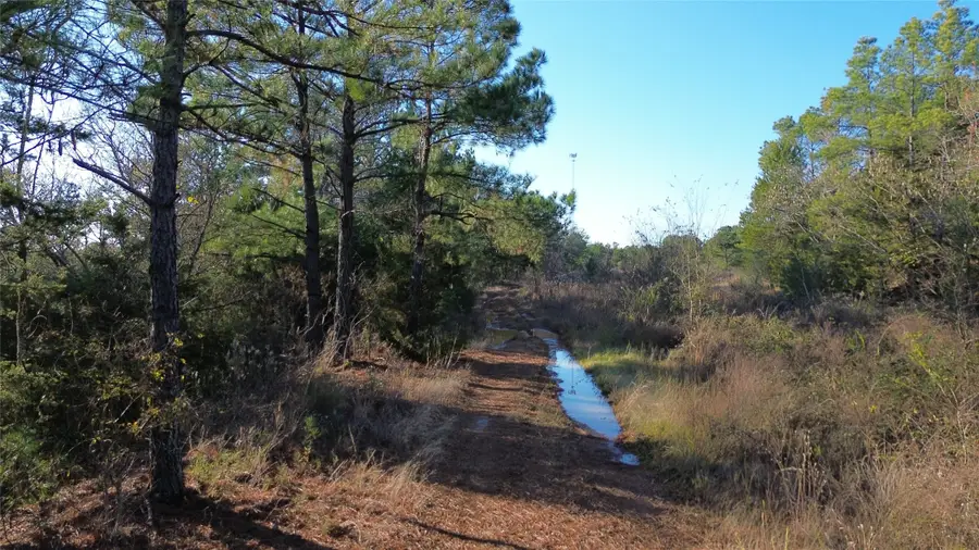 1204 Vance, Hughes Springs, TX 75656 - #3