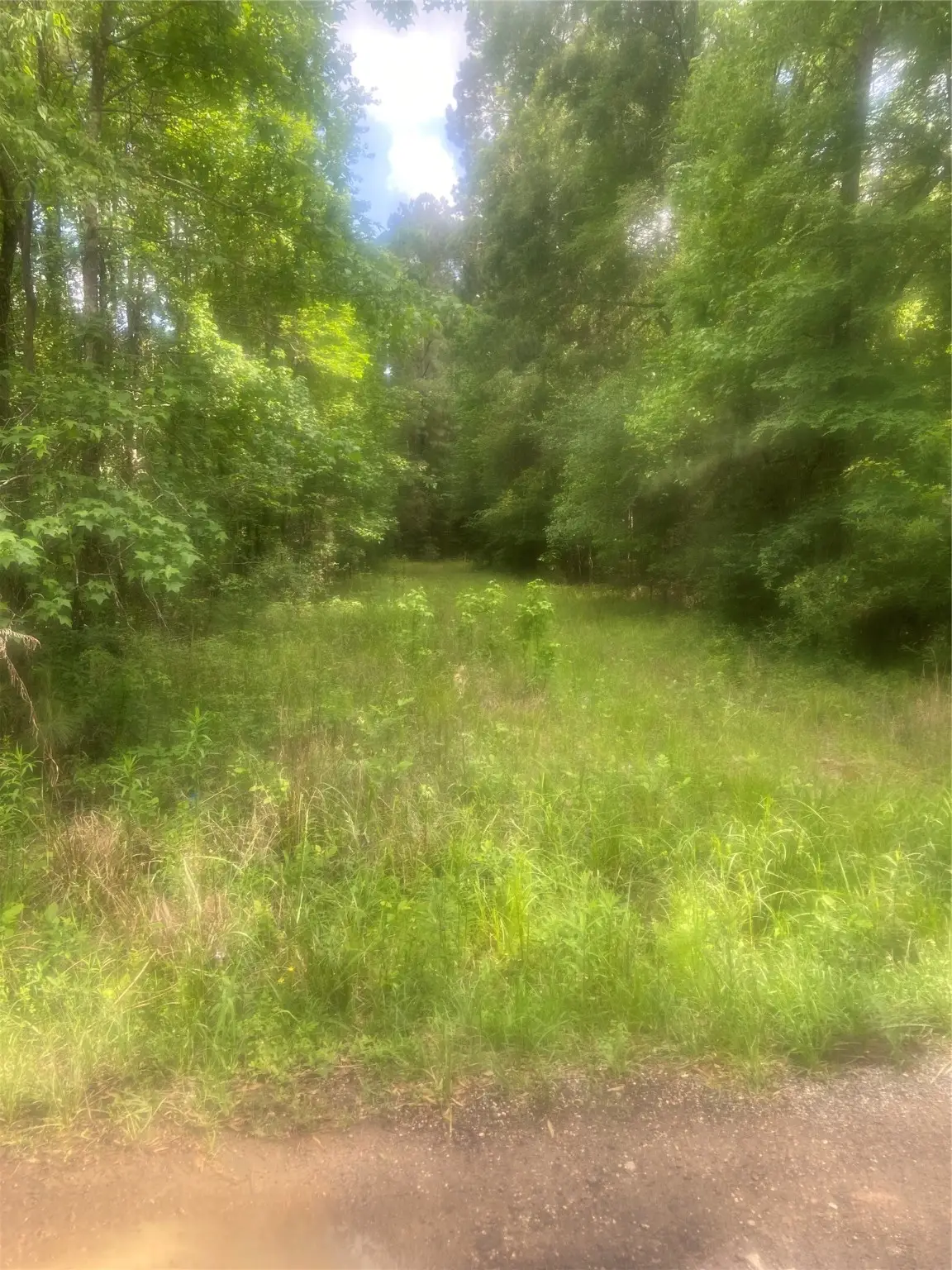 251 Pickens Loop, Livingston, TX 77351 - Image #1