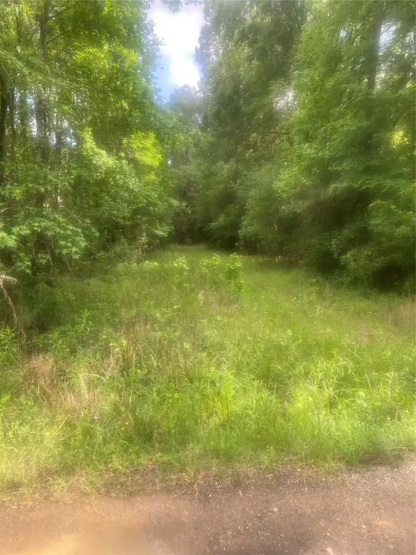 251 Pickens Loop, Livingston, TX 77351