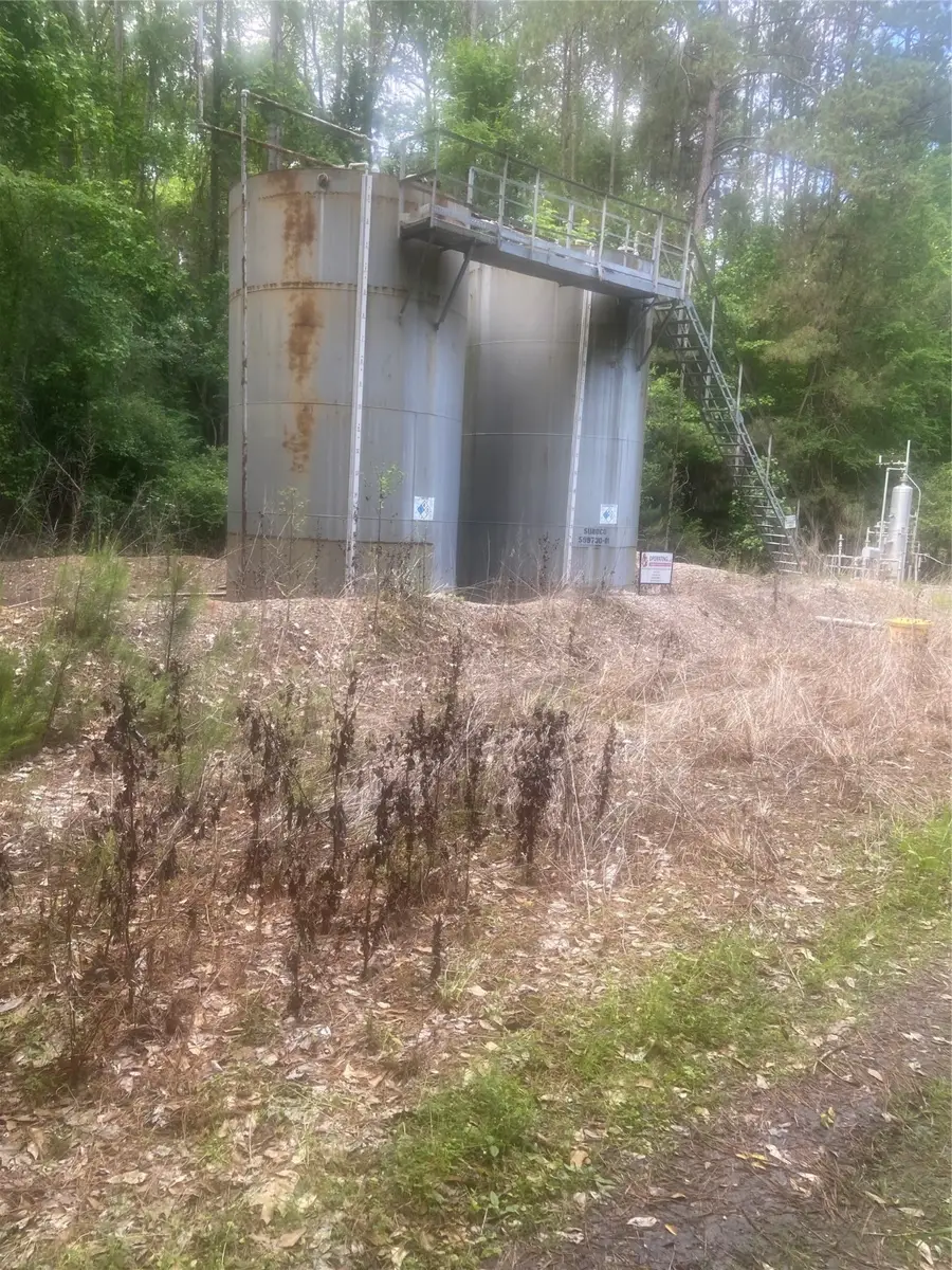 251 Pickens Loop, Livingston, TX 77351 - Image #3