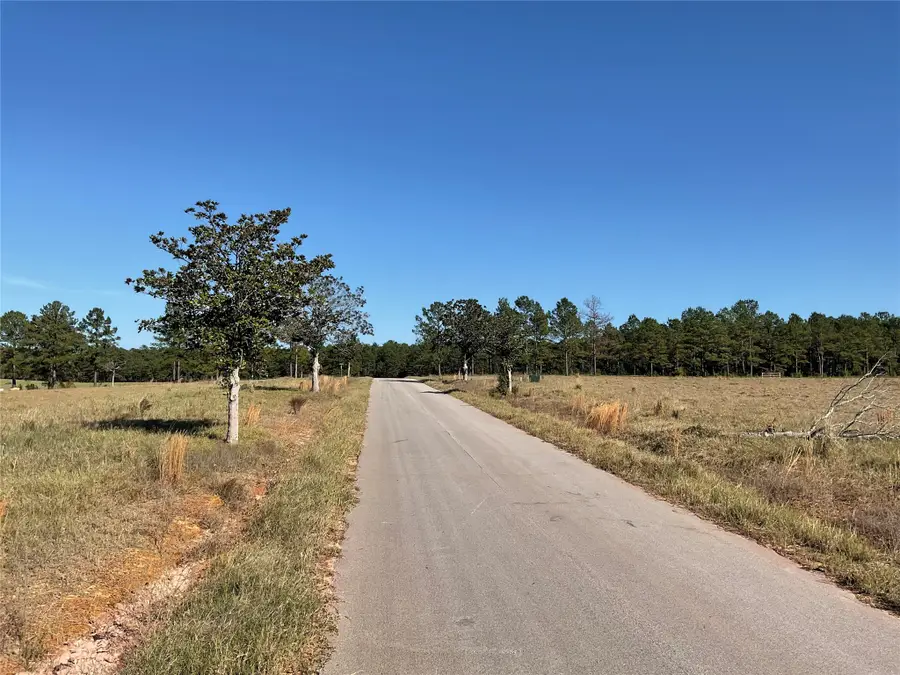 LOT 14 Lakeland Drive, Hillister, TX 77624 - Image #3