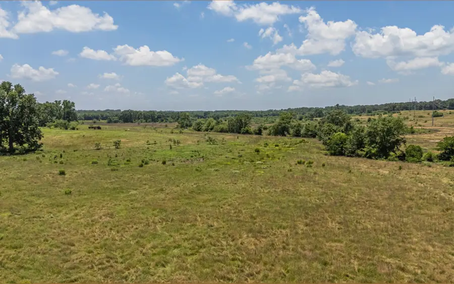 TBD Fm 857 Road, Grand Saline, TX 75140 - Image #3
