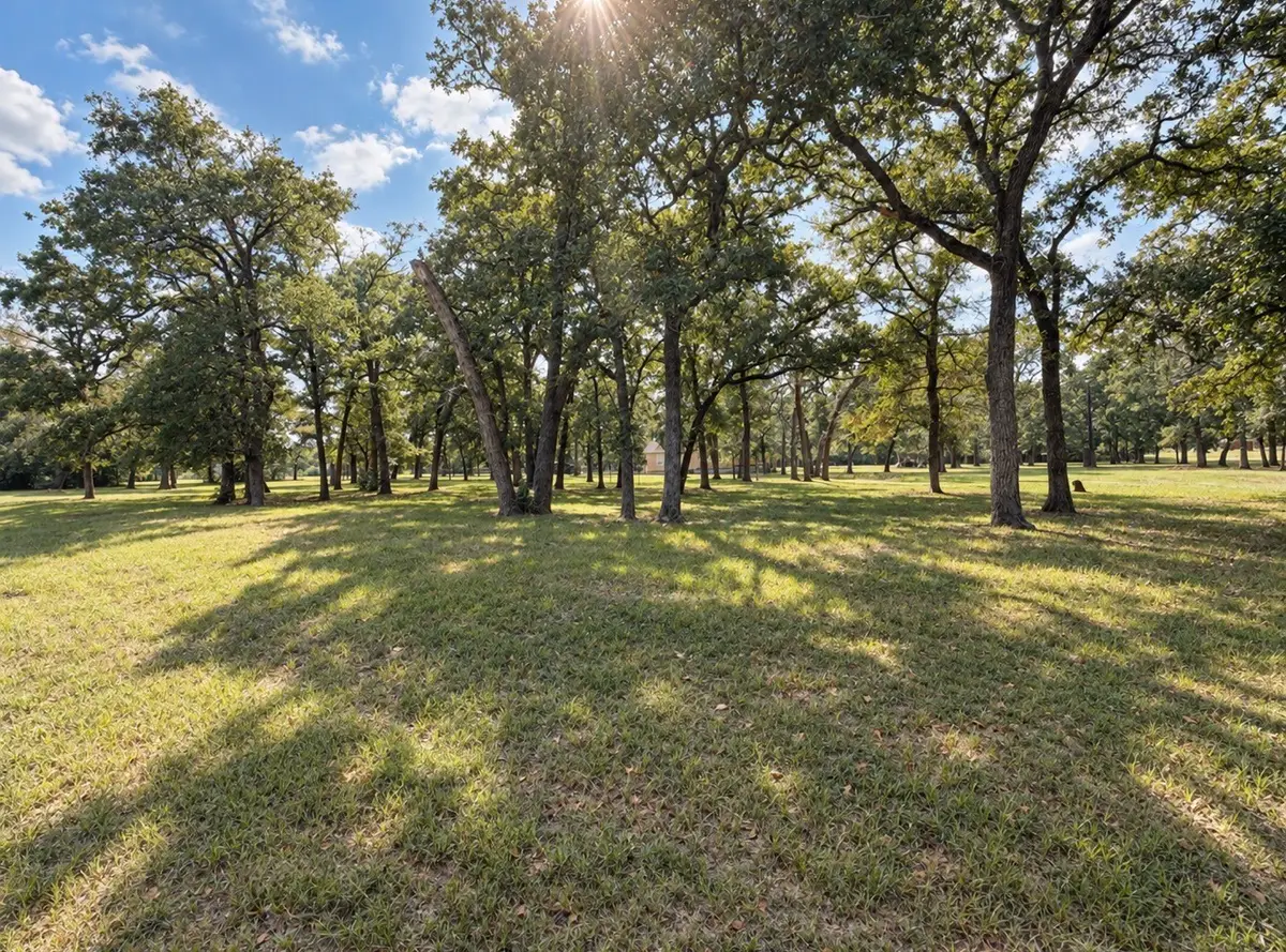 1343 Rocky Lane, Bedias, TX 77831 - #1