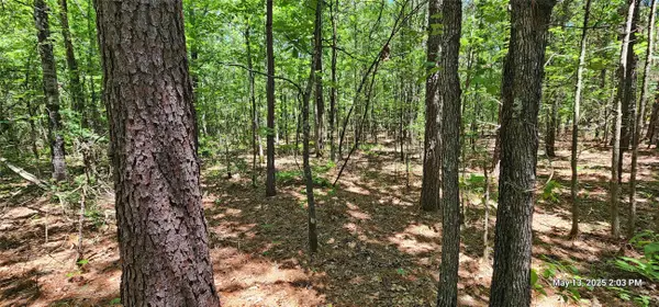 TBD Cr 3233 E, Clarksville, TX 75426