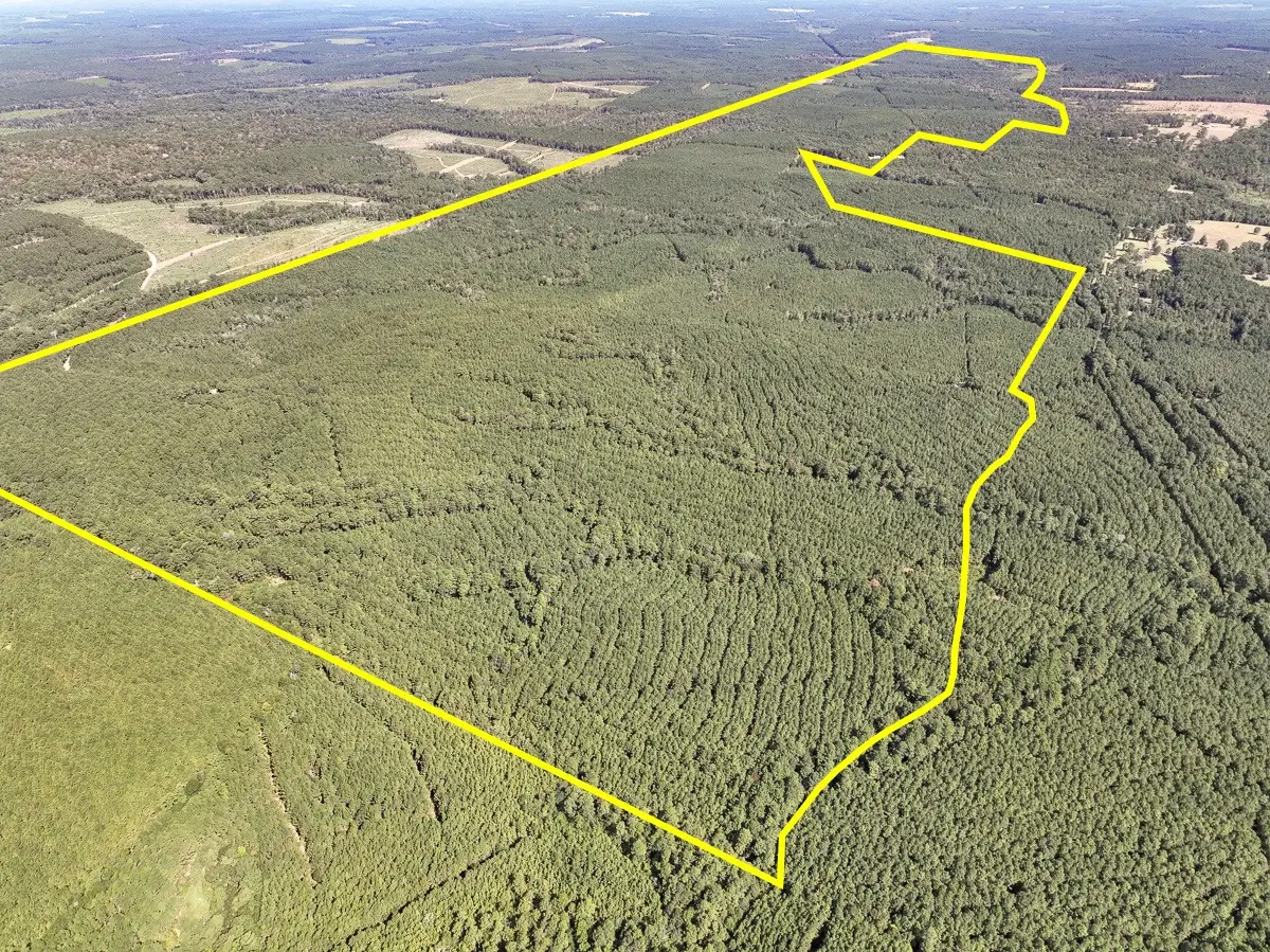 T-4 Cr 2150, Woodville, TX 75979 - #1
