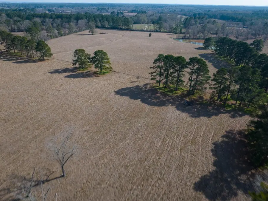 1 Fm 328, Huntington, TX 75949 - #3