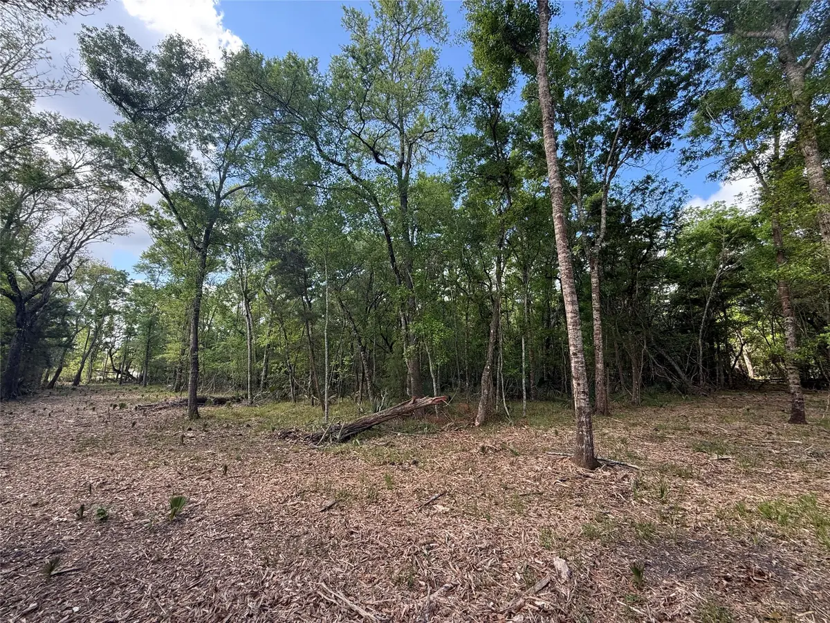 2 Cr 289, Sweeny, TX 77480 - #1