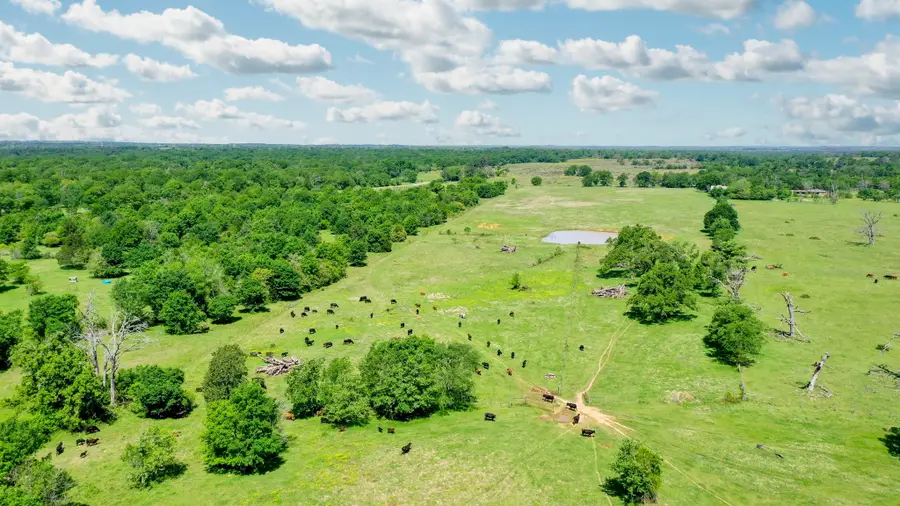 403 AC Fm 977, Leona, TX 77871 - Image #3