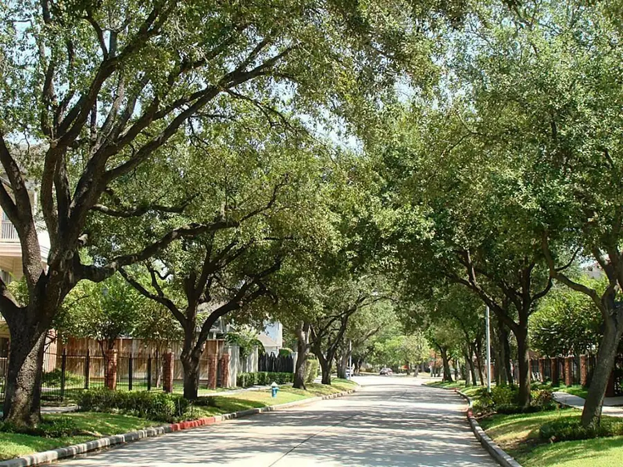 4041 Law Street #606, Houston, TX 77005 - #3