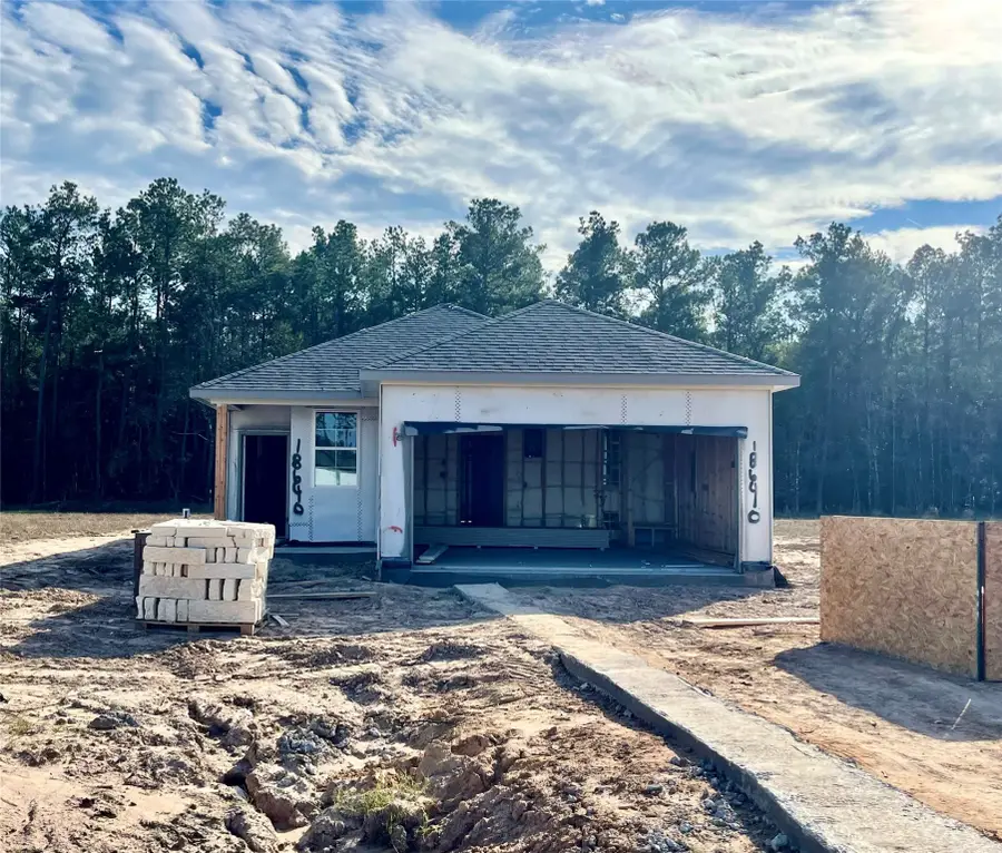 18640 Barichello Drive, Conroe, TX 77306 - Image #2