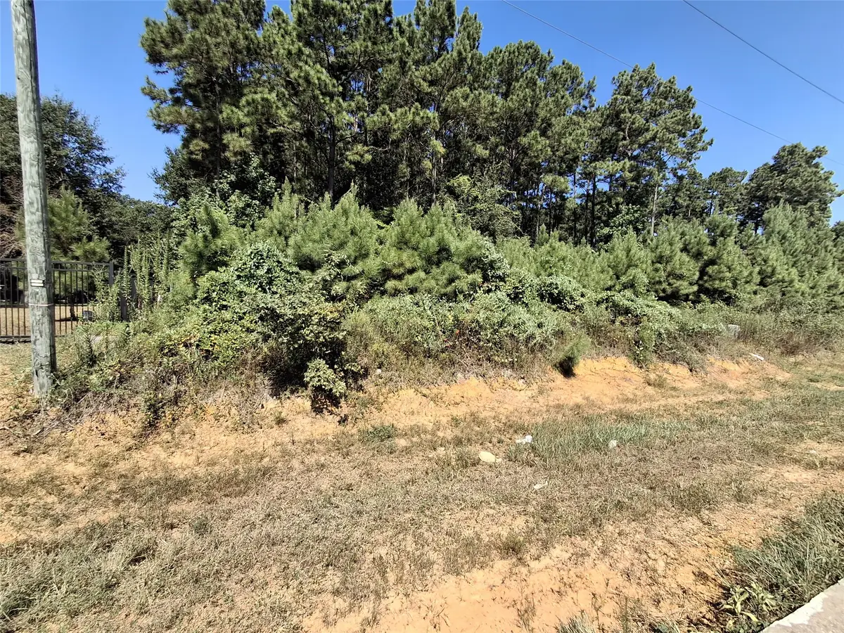 326 County Road 3545, Cleveland, TX 77327 - #1