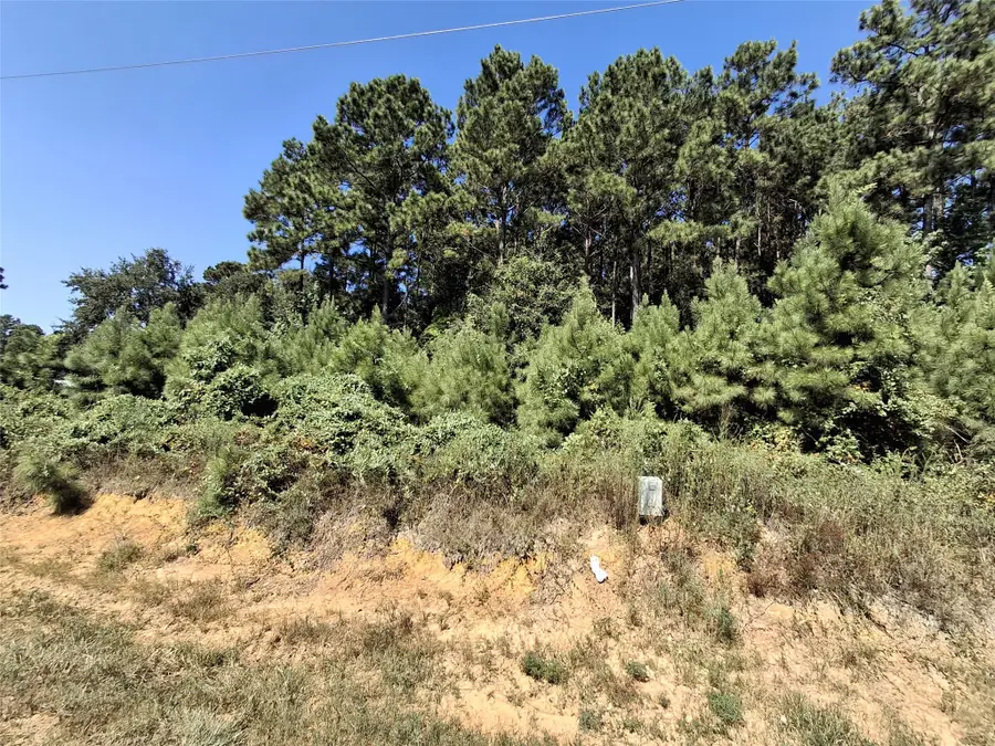 326 County Road 3545, Cleveland, TX 77327 - #2