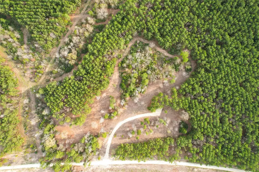 450 Williamson Way, Lovelady, TX 75851 - Image #2