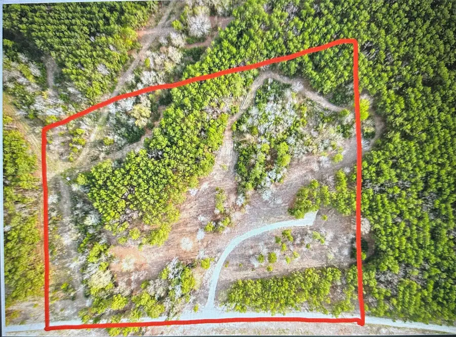 450 Williamson Way, Lovelady, TX 75851 - Image #3