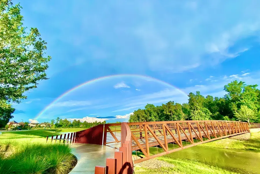 416 East Coralburst Loop, Montgomery, TX 77316 - #3