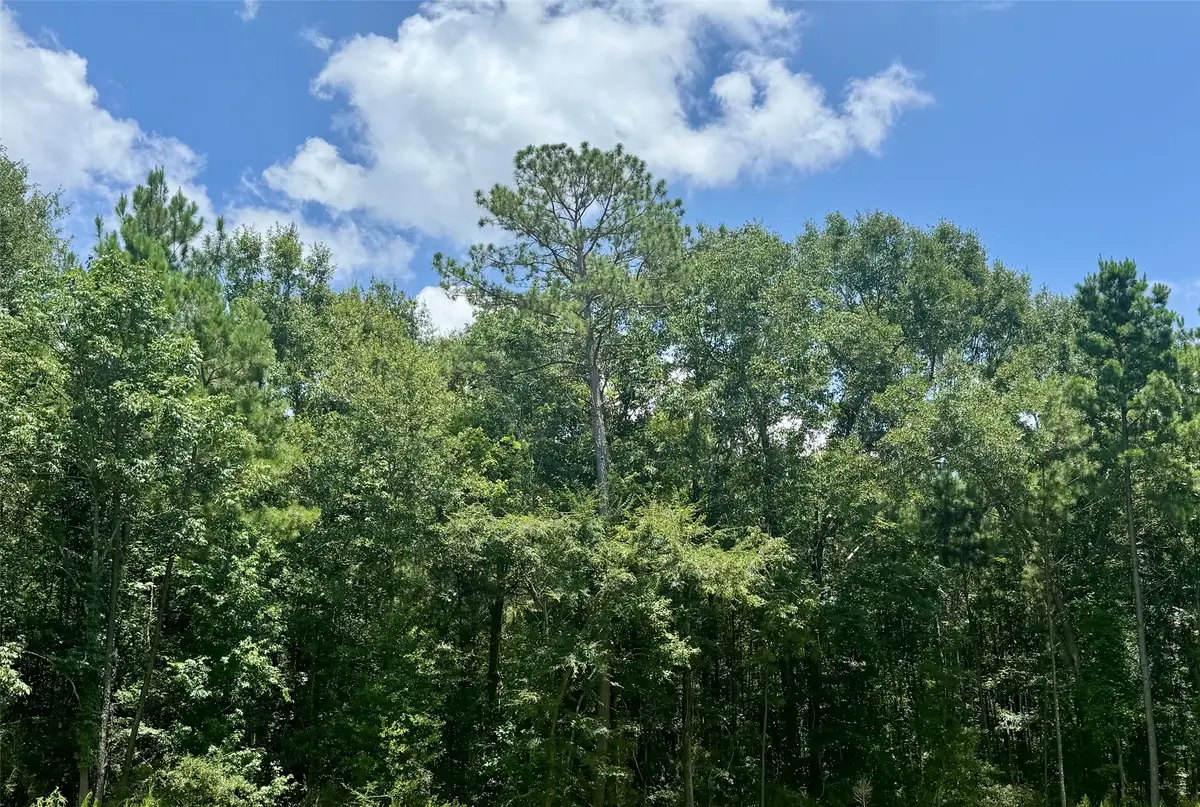 Lot 15 Riverstone Drive, Livingston, TX 77351 - #1