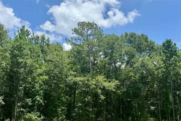 Lot 15 Riverstone Drive, Livingston, TX 77351