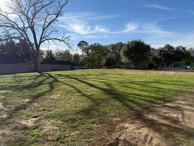 731 S Tesch, Bellville, TX 77418 - #3
