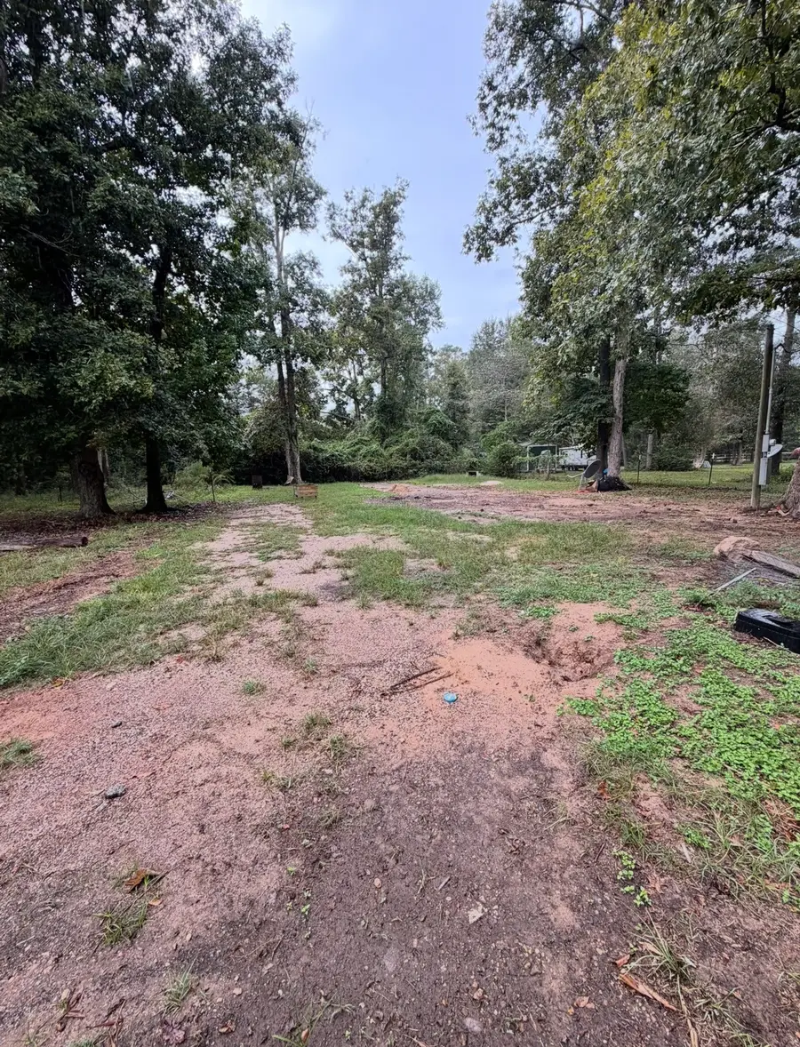 71 Pine Lane, Shepherd, TX 77371 - #3