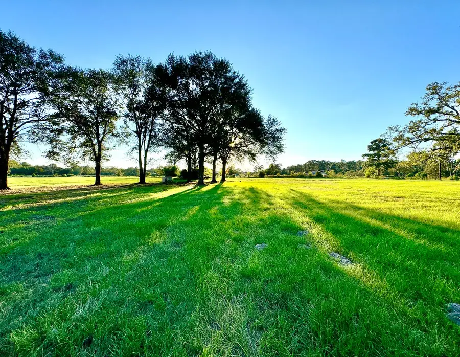 T-1 Hoke Road, Richards, TX 77873 - #3