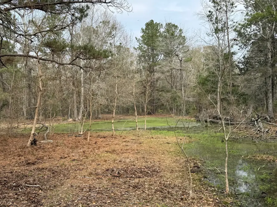 0 Old Hwy 105 E, Cleveland, TX 77327 - #2