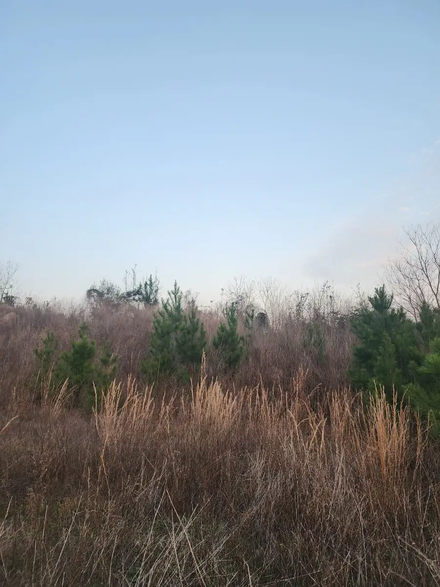 340 Road 5805, Cleveland, TX 77327 - Image #2