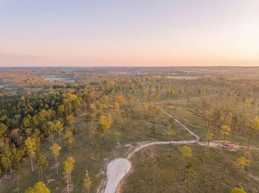 Lot 4 Johnson Drive, Livingston, TX 77351 - #3