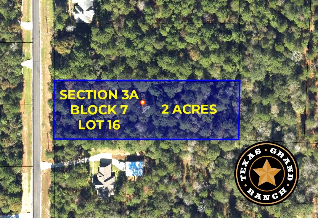 3A-7-16 Grand View, Huntsville, TX 77340 - #1