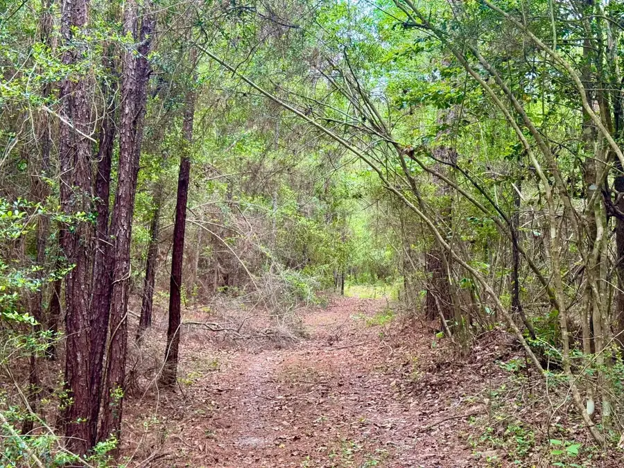 17 Acres Cr 1375, Warren, TX 77664 - #3