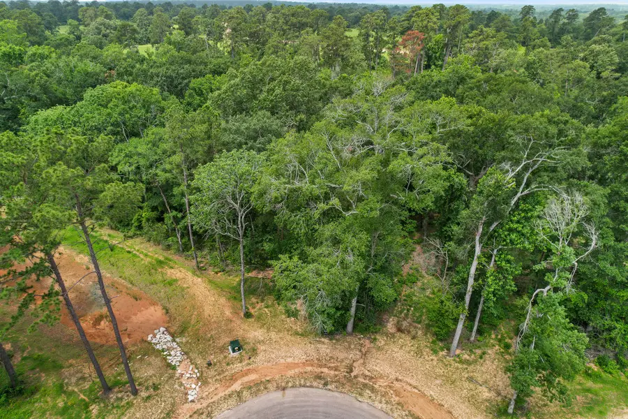 24915 Two Rivers Road, Montgomery, TX 77316 - #2
