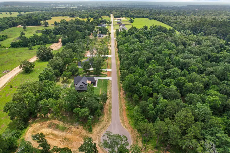 24915 Two Rivers Road, Montgomery, TX 77316 - #3