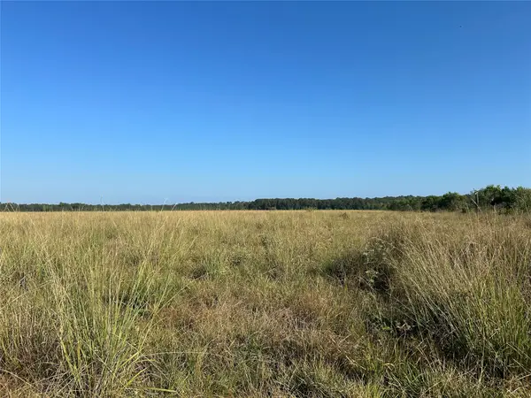 Lot 61 Minnie West Drive, Hull, TX 77564