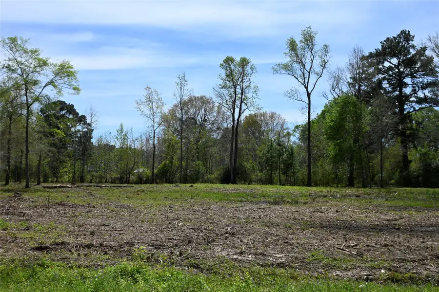 lot 3 County Road 2360, Hardin, TX 77575 - #2
