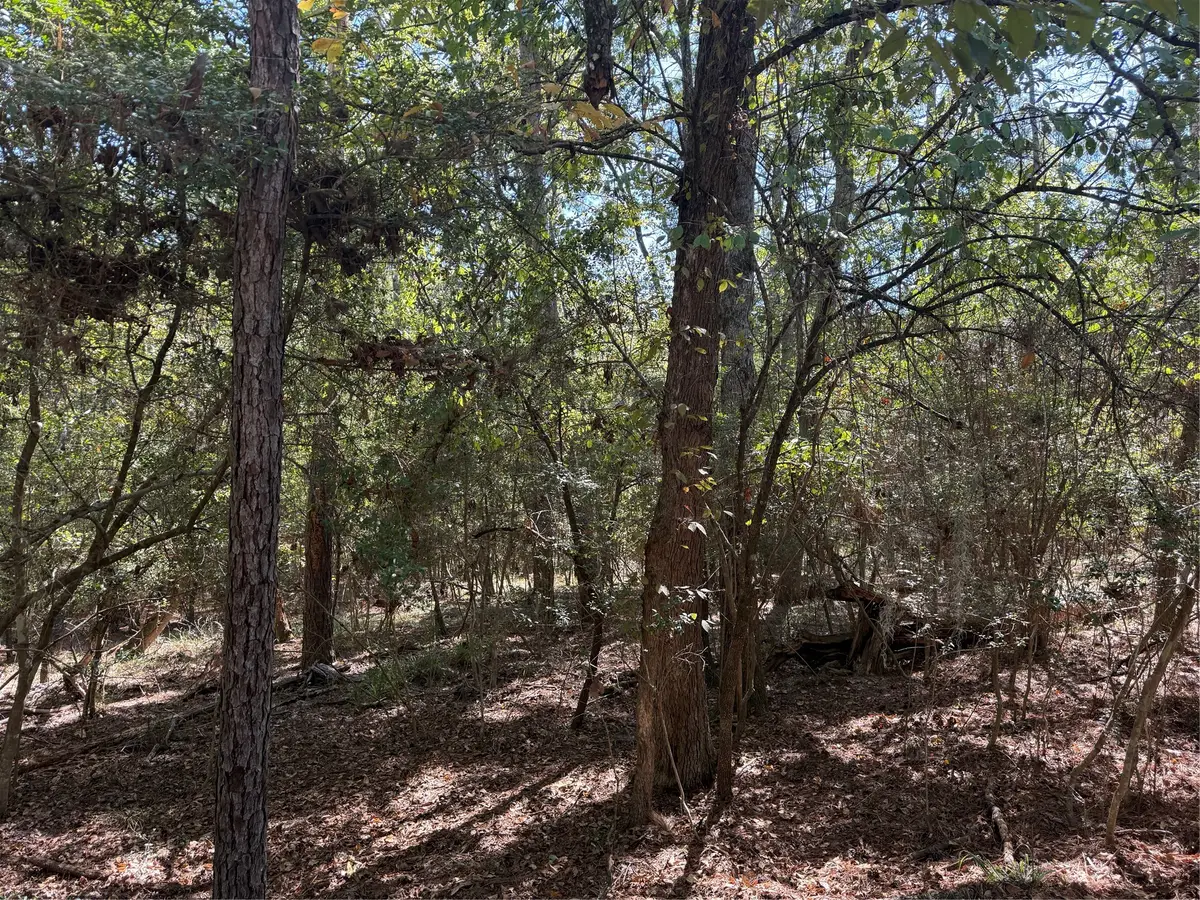 TBD Poland Spring Court, Huntsville, TX 77320 - #1
