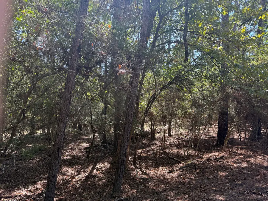 TBD Poland Spring Court, Huntsville, TX 77320 - #3