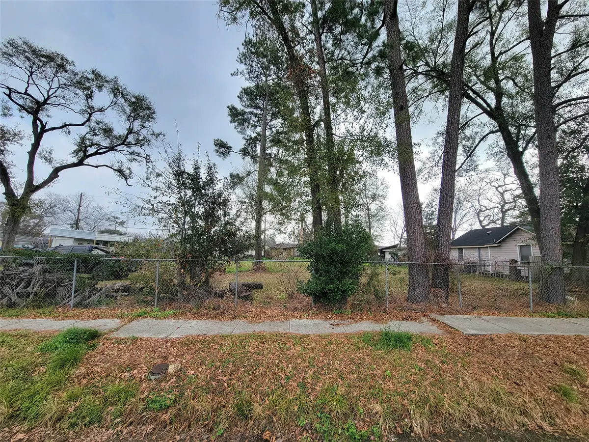 10216 Goldcrest Street, Houston, TX 77076 - #1