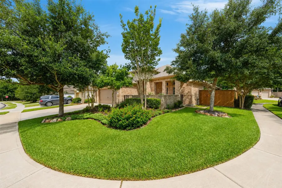 217 Southern Iris Court, Montgomery, TX 77316 - #3