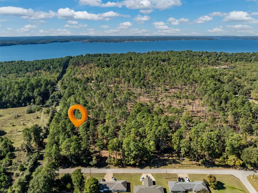 0 Pintail Drive, Flint, TX 75762 - Image #3