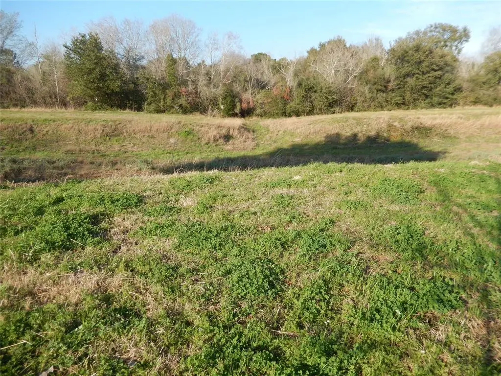 815 E Jasmine Street, Fresno, TX 77545 - Image #1