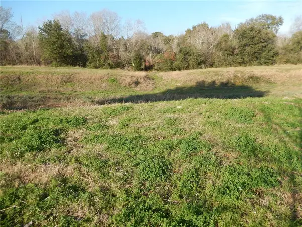 815 E Jasmine Street, Fresno, TX 77545