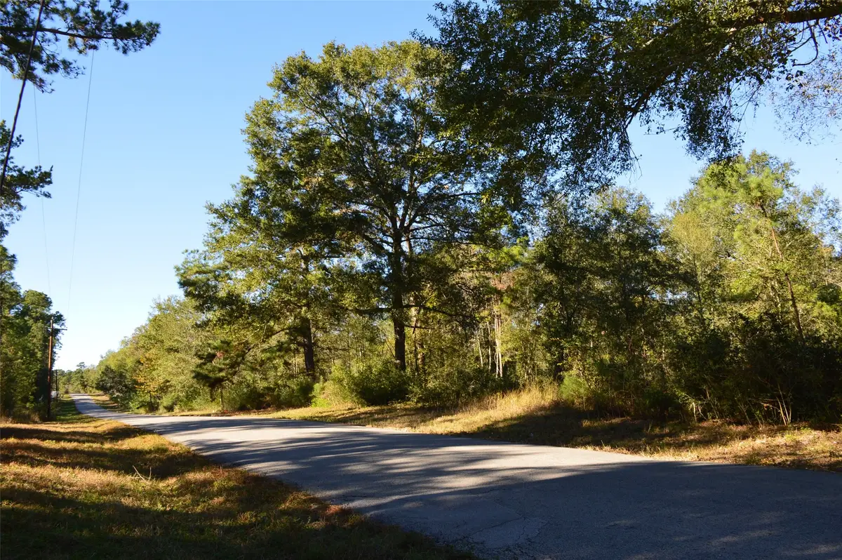 0010 County Road 302, Plantersville, TX 77363 - Image #1