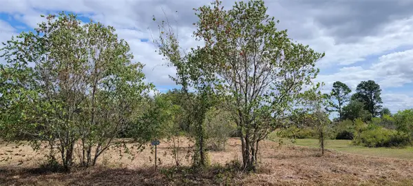 20736 Pearl Street, Prairie View, TX 77484