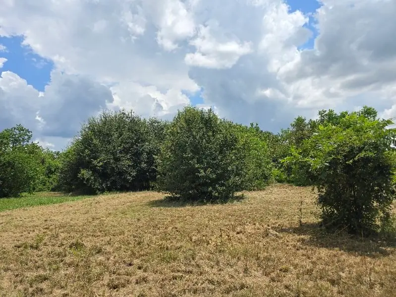 20736 Pearl Street, Prairie View, TX 77484 - #2