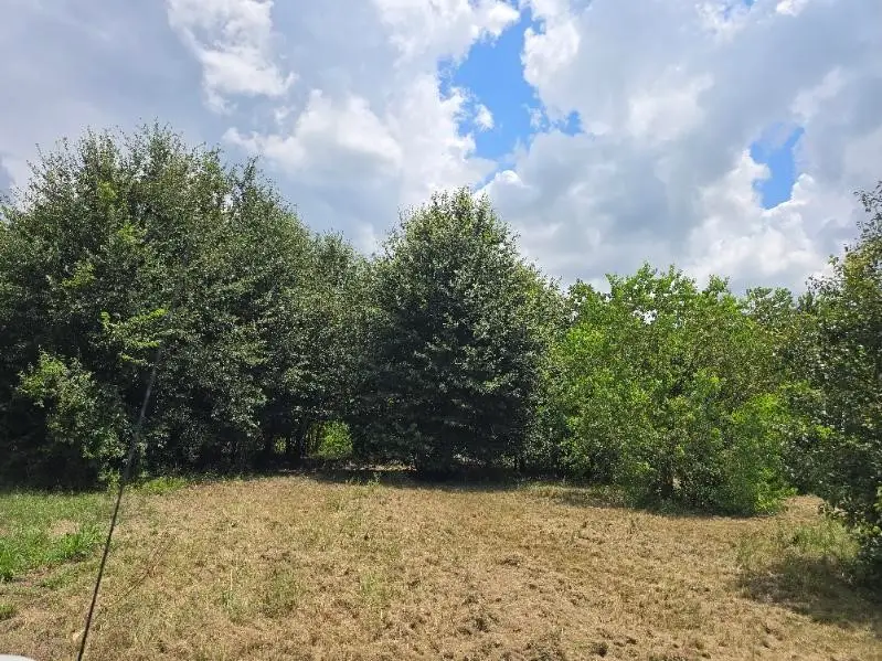 20736 Pearl Street, Prairie View, TX 77484 - #3
