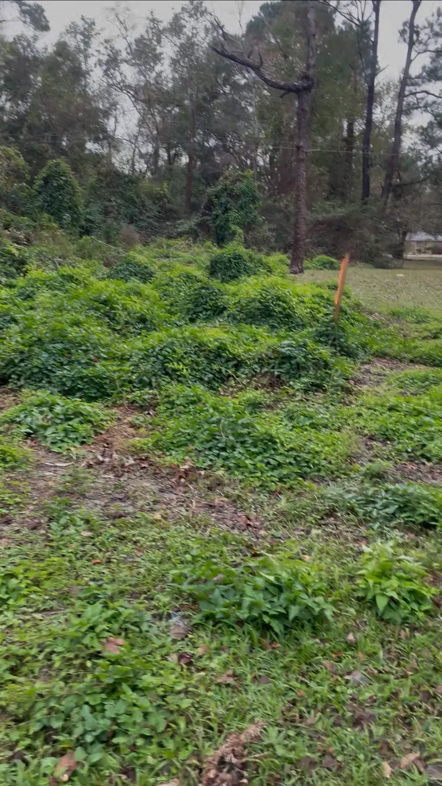 9 Bayou Bend, Orange, TX 77630 - #2