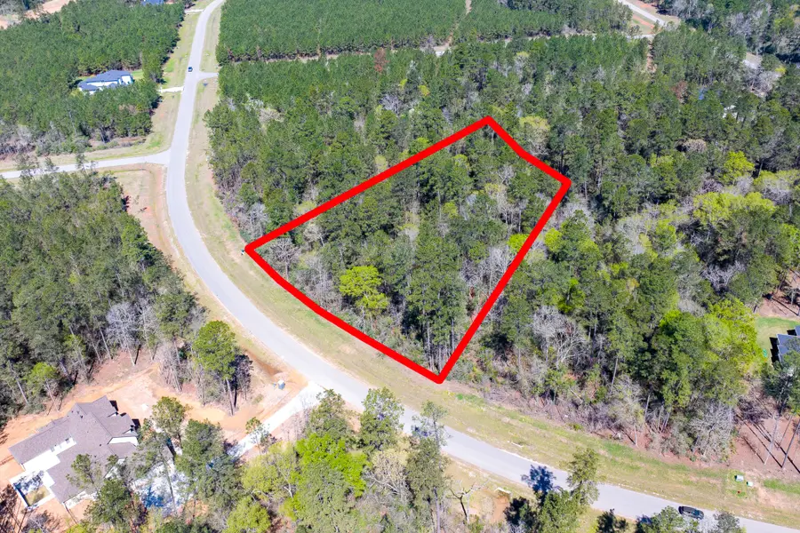 15628 Wood Grove Way, Willis, TX 77378 - #2