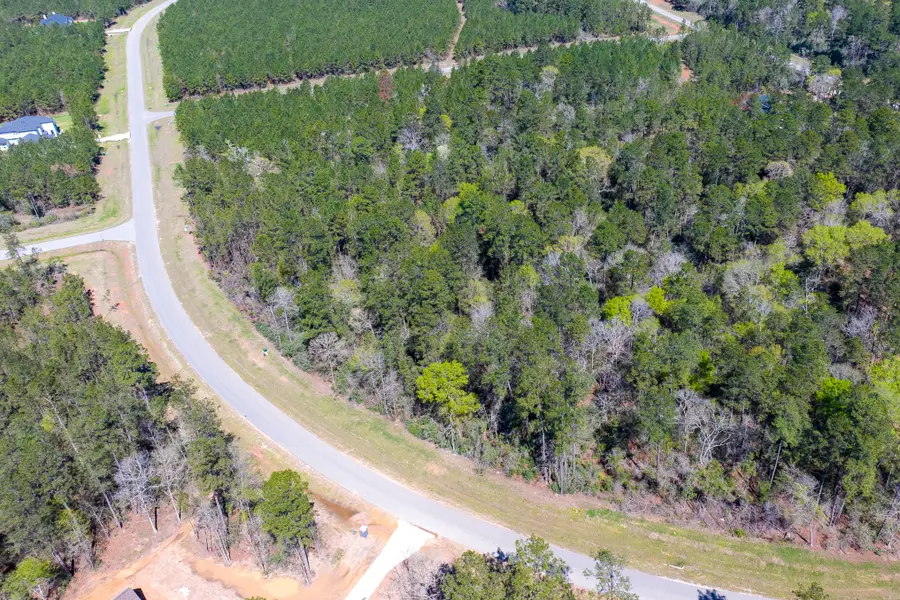 15628 Wood Grove Way, Willis, TX 77378 - #3